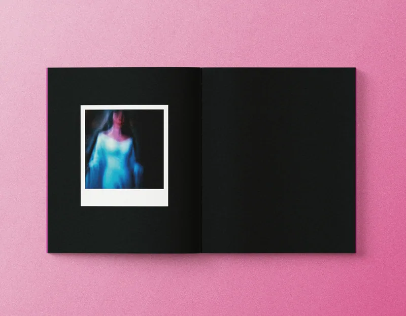 polaroid sx70 — imagem 2