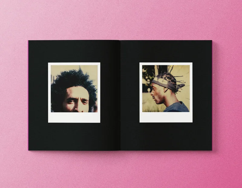 polaroid sx70 — imagem 4